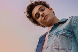 However, he was into acting as well as singing since a very young age. Joshua Bassett Shares New Track Anyone Else Totalntertainment