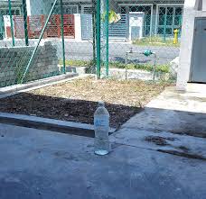 Barulah tak stres asyik nak kena cuci je setiap hari! Tips Elak Kucing Berak Depan Rumah Wayne Harraz