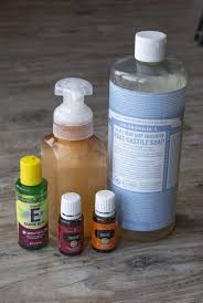 Check spelling or type a new query. Diy Natural Foaming Hand Soap Not Your Average Fox