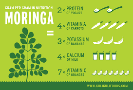 why is moringa good for men kuli kuli foods