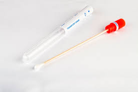 Streptococcus pyogenes comprises the vast majority of the lancefield group a streptococci, and is often used as a synonym for gas. Streptococ Beta Hemolitic Qbebe Ro