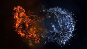 Fire And Water Bird Hd Wallpaper Phoenix Wallpaper Fire Art Water Art