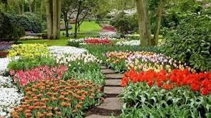 Maybe you would like to learn more about one of these? Jenis Tanaman Hias Berdasarkan Fungsinya Mandakagarden