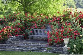 A Fragrant Garden Retreat With Roses Fragrant Garden Castle Garden Garden Shrubs