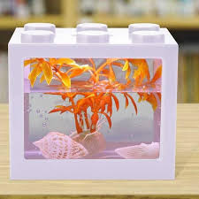 Harga aquarium kaca minimalis berbagai ukuran. Harga Aquarium Cupang Akrilik Kotak Terbaru Juli 2021 Biggo Indonesia