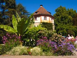 Der Gaertnerturm Auf Der Mainau Jpg Insel Mainau Mammutbaum Fotos Blumen