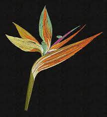 Pin On Machine Embroidery