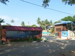 Konservasi penyu pacitan terus di kembangkan. Pusat Penetasan Penyu Tanjung Bidara Wikipedia Bahasa Melayu Ensiklopedia Bebas