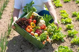 Online Umsteller-Stammtisch DigUm