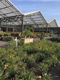 Nedrow flowers by grower nedrow, ny hoover flowers 308 s. Chuck Hafners Farmers Market Garden Center Gift Card North Syracuse Ny Giftly