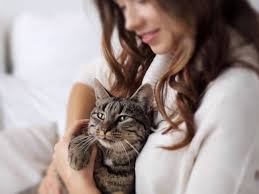 Of course, that doesn't mean you shouldn't own one. Places To Get Help With Vet Bills For Low Income Family Uk Pets