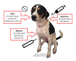 Check spelling or type a new query. Http Thesis Honors Olemiss Edu 737 1 Tobi 20ku 20 20thesis 20final Pdf