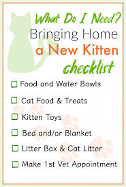 Bringing Home A Kitten With A Free Printable Checklist A 500 Walmart Gc Giveaway Kitten Care Cat Care Cat Advice