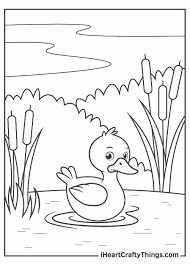Download free printable baby duck coloring pages / cartoon pictures for kids. Duck Coloring Pages Updated 2021