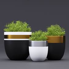 Design Twins Royal 3d Model Plant Pot Design Plant Pot Diy Painted Pots Diy