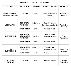 organic biobizz feeding schedule online hydroponics shop