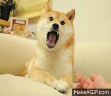 Find gifs with the latest and newest hashtags! Doge Memes On Make A Gif