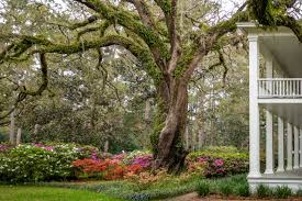 Check spelling or type a new query. Enjoy Nature At Eden Gardens State Park Rosemary Beach