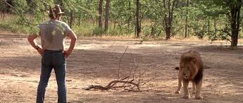 May 26, 2021 · itinéraire d'un enfant gâté de claude lelouch par thomas croisière. Itineraire D Un Enfant Gate 1988 Critique