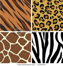 Spots Stripes Patterns In Animals By Cari Baker Animal Prints Pattern Print Animal Print