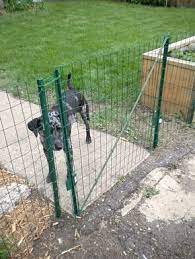 3 Miraculous Cool Tips Fence Drawing Design Reference Fence Architecture Vines Wooden Farm Fence Fence Archit Diy Dog Fence Dog Fence Temporary Fence For Dogs