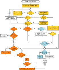 Clinical Reasoning Flowchart Of The Interdisciplinary Group