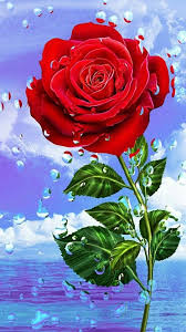 Attractive Beautiful Black And Red Rose Wallpaper La Mia Raccolta Gif With Images Wallpaper Nature Flowers Hd Flower Wallpaper Purple Flowers Wallpaper