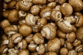 Image result for brown mushrooms images