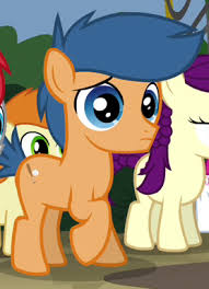 My little pony carry cases with styling frozen 2 anna hair styling doll ftc: My Little Pony Wiki Flash My Little Ponny B