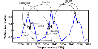 Maybe you would like to learn more about one of these? Experimental Setup Individuals Walk A 100m Distance At Different Download Scientific Diagram