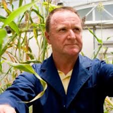 Emeritus & Honorary Professors