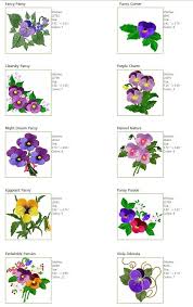 Machine embroidery designs at embroidery library! Amazon Com Abc Machine Embroidery Designs Set On The Cd Flowers Parade Fancy Pansies Elegant Flowers Flowers Frames 40 Designs 5 X7 Hoop Furniture Decor