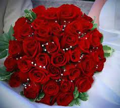 Maybe you would like to learn more about one of these? Beautiful Whatsapp Dp Flower Images Free Download Flowers Dp Beautiful Flowers Images Beautiful Flowers Pictures