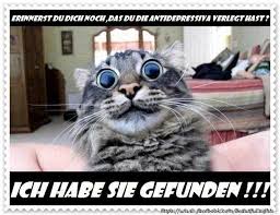Witzige cool bilder kostenlos zum. Lustige Bilder Von Gerhard Schwaner Home Facebook