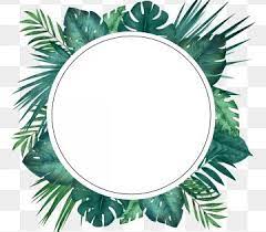 Green Little Refreshing Tropical Palm Leaf Circular Border Wreath Clipart Palm Leaf Botany Png Transparent Clipart Image And Psd File For Free Download Tropical Frames Flower Frame Watercolor Leaves
