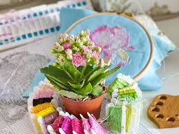 Image result for Kalanchoe rosalina
