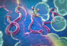 How you can support cells alive!support cells alive! Ebola Biomarker Predict Disease Outcome Anticoagulant Treated Primates