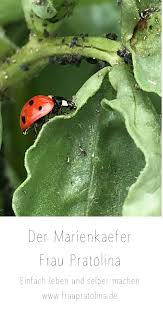 Pin Auf Tiere Im Garten