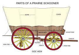 Labeled diagram of the human kidney. The Wagon Learn About Covered Wagons Used On The Oregon California National Trail