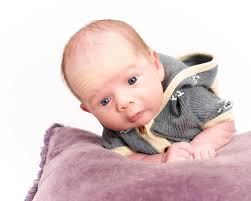 Hungry bird 🍇 I've been trying to get this picture of an American Robin  for over a year, and this morning the stars aligned. I first noticed this  robin eating berries off