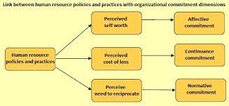 Employee Organizational Commitment – Ispatguru