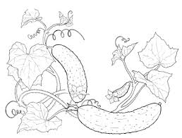 Pick a suitable picture and download it for your personal computer, online offline media storage wherever you want. Vegetable Garden Coloring Pages