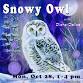 "Snowy Owl" with Diana Dellos