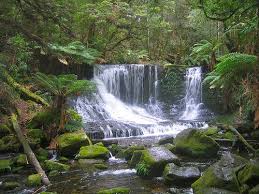 Waterfall Mount Field National Park Tasmania Australia Waterfall Tasmania National Parks