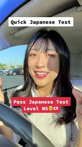 What Does Level 5 Look Like