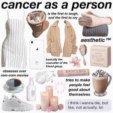 Those born under this horoscope sign are 'roots' kinds of people, and take great pleasure in the comforts of home and family. 380 Memes Ideas Memes Bts Memes Bts Funny