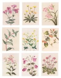 59 Embroidery Patterns Flower Embroidery Embroidery Ot Ellacraft Embroidery Flowers Pattern Embroidery Book Embroidery Flowers