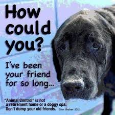 Love Animals Dogs Doggy Animal Abuse