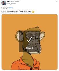 Bored Ape Yacht Club Know Your Meme