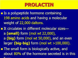 Image result for Prolactin